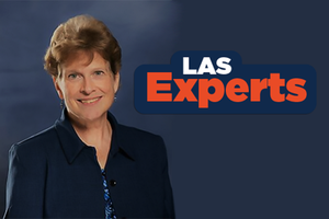 LAS Expert